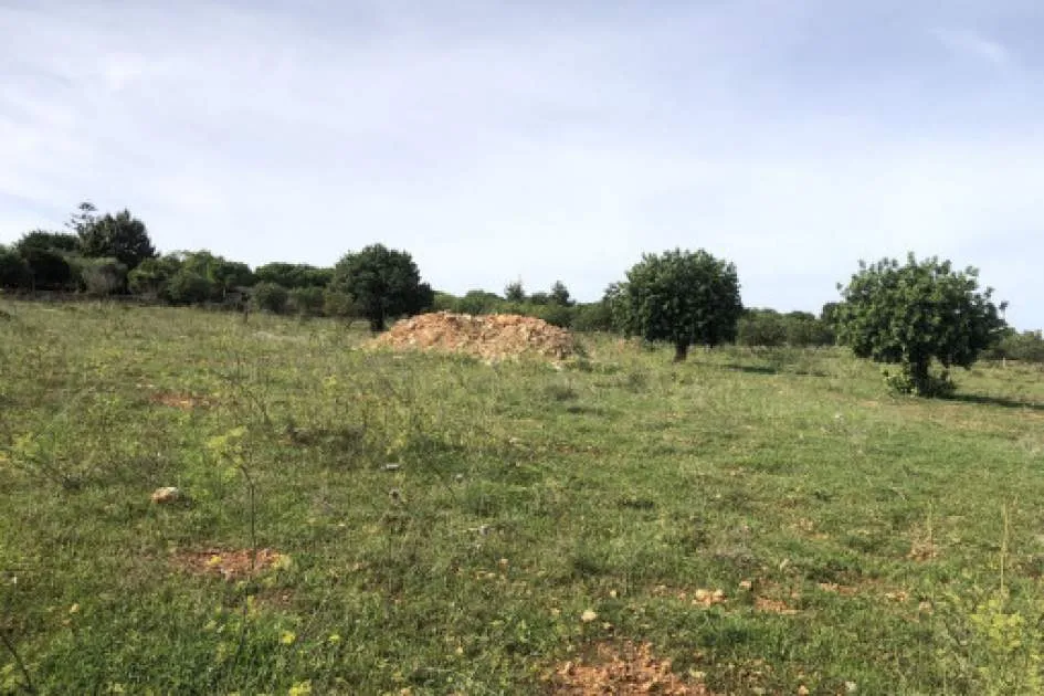 Beautiful building plot with approved project between Son Carrió and Sa Coma